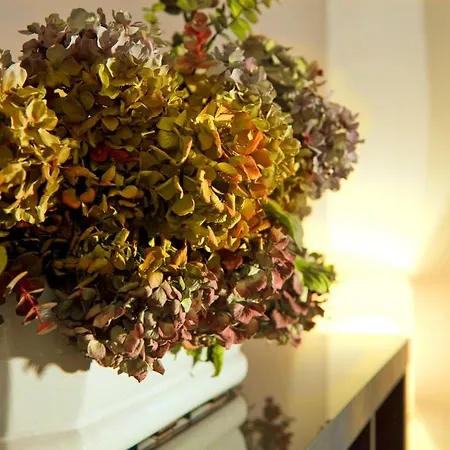 Valentino. Charme Nel Centro Di * 都灵